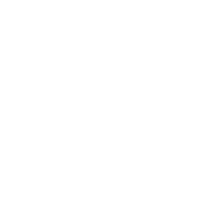 instagramicon